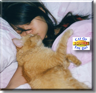 Squirr, the Cat of the Day