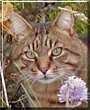 Becky