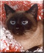 Elvira