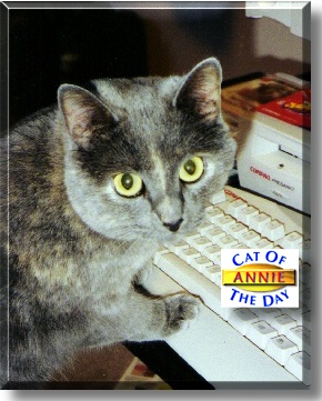 Annie Preston, the Cat of the Day