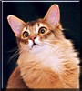 Jean Luc