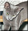 Ernestine
