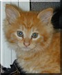 Clyde