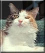 Moneypenny