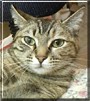 Mable