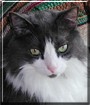 Jack