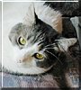 Isabel