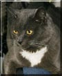 Mittens