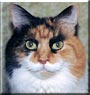 Patches
