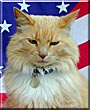 Trumpy