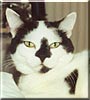 Rosie
