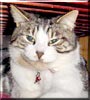 Henry