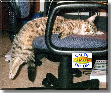 Simon, the Cat of the Day