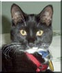 Oliver