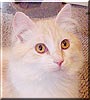 Pete