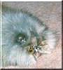 Fluffy