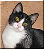 Matilda