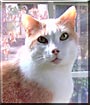 Simon