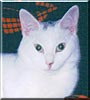Henry