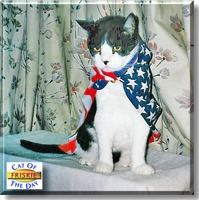 Friskie, the Cat of the Day