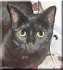 Blackie