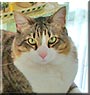 Oscar