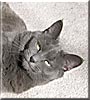 Smokey