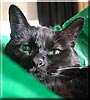 Micah