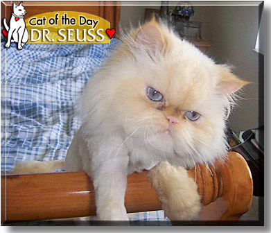 Dr. Seuss, the Cat of the Day