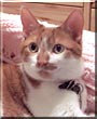 Tigger