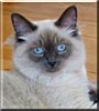 Kaiser