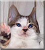 Fergus