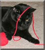 Licorice