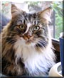 Duncan