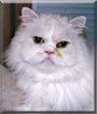 Furby