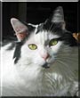 Dottie