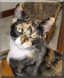 Gina