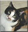 Annabell