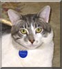 Pete