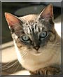 Rufus