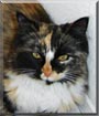 Cleo