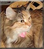 Tina