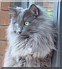 Milo