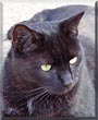 Rufus