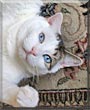 Frankie