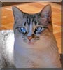 Bootsie