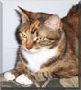 Cally