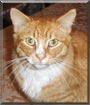 Oliver