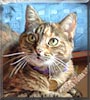 Josie