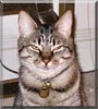 Sigmund